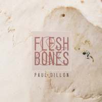 Paul Dillon - Flesh and Bones